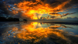 Sunset reflecting sky clouds lake - a tree in the distance free wallpaper