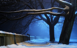 Snowy path park bench night - a light free wallpaper for desktop