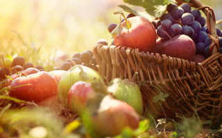 Harvest grapes apples berries leaves - fall vibrancy free wallpaper