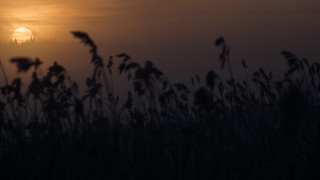 Sunset foggy sky tallgrass building - a foggy sky free wallpaper