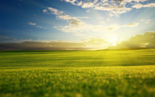 Field grass sunlight clouds blue - the cloud free wallpaper for desktop