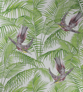 Bird palm leaves flying nature - naturalism free wallpaper for tablet