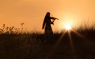 Woman violin field sunset silhouette - a woman playing free wallpaper