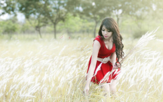 Red dress woman field butterfly - overhead in the background free wallpaper