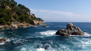 Rocky cliff water tree mountains - a cliff free wallpaper