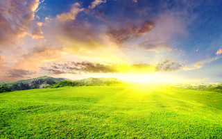 Sunny green mountains fence forest - sun free wallpaper for desktop