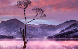 Tree lake mountains sunset reflection - free winter wallpaper