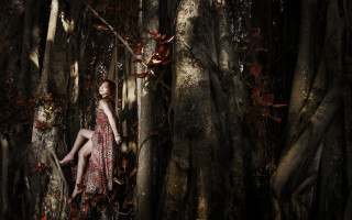 Woman dress sitting tree crossed - chen chun free wallpaper for desktop
