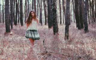 Woman field tallgrass forest cherryblossoms - forest free wallpaper for desktop