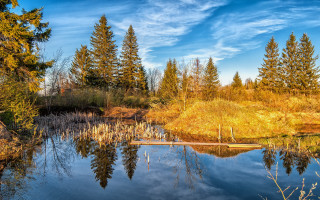 Pond autumn trees blue sky 2 - a pond free wallpaper
