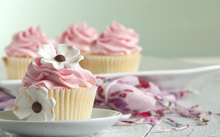 Cupcakes flower pastel photography rococo - a plate free wallpaper