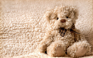 Teddy bear white blanket brown - andor basch free wallpaper