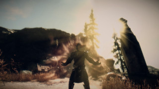 Man coat hat field trees - dramatic cinematic lighting free wallpaper