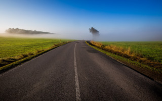 Road tree field fog landscape - the middle of a field free wallpaper
