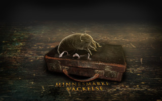 Flea suitcase warning mamashark beach - a suitcase free wallpaper