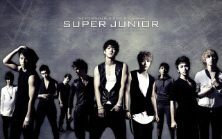 Young men super junior wall - young man free wallpaper