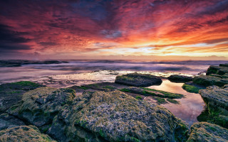 Sunset rocky beach mossy algae - mossy free wallpaper for desktop