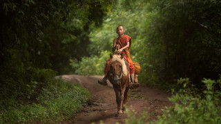 Young girl riding horse forest - eric deschamps free wallpaper