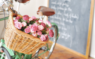 Bicycle basket flowers chalkboard roses - a bicycle free wallpaper