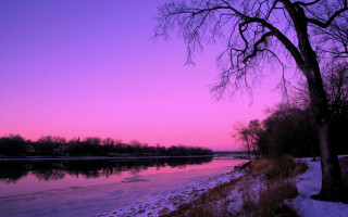 River tree purple sky sunset - river free wallpaper for desktop