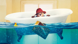 Dog hat bathtub rubberduck splash - a bathtub free wallpaper