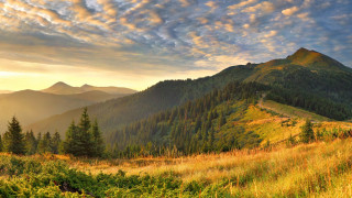 Mountain grassy field trees sunset - edi rama free wallpaper