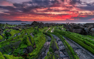Sunset rocky beach green grass - green grass free wallpaper
