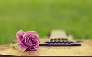 Blue rose guitar wooden table - the table free wallpaper