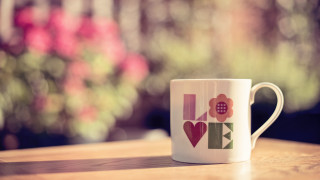 Coffee flower table window plant - a coffee cup free wallpaper