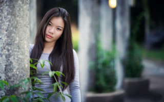 Woman tree gray shirt long - a gray shirt free wallpaper