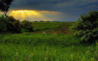 Sunbeam grass fence trees mountain - crepuscular ray free wallpaper