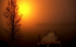 Dock tree fog lake sunset - a yellow sky free wallpaper
