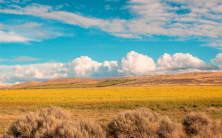 Field clouds horse sunset gradient - clyfford still free wallpaper