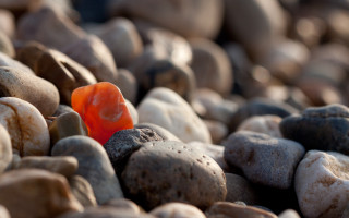 Orange toy rocks gravel macro - fiona stephenson free wallpaper