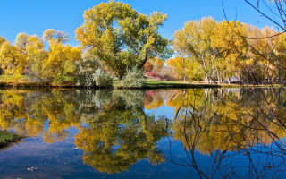 Lake trees blue sky autumn 2 - a few yellow leaf free wallpaper