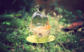 Coffee water splash grass green - whimsical free wallpaper
