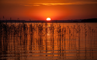 Sunset water reeds island moon - free sunset wallpaper