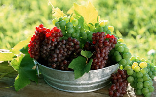 Grapes leaves outdoor stilllife photorealism - a table outside free wallpaper