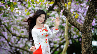Woman white red dress tree - phuoc quan free wallpaper