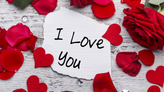I love you red roses - a piece of paper free wallpaper