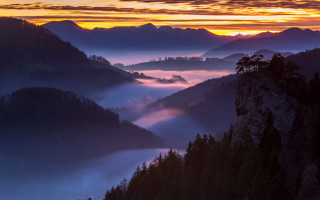 Mountain valley trees sunset fog - fog free wallpaper
