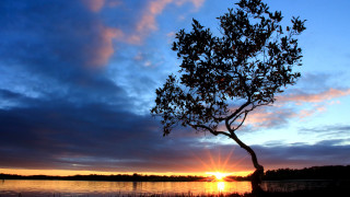Sunset lake tree boat clouds - arthur quartley free wallpaper for desktop
