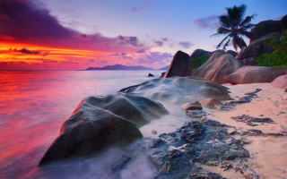 Beach rock formation sunset palm - mystical free wallpaper