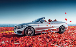 Silver car ocean leaves autumn - the roof free wallpaper