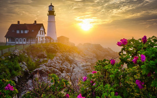 Lighthouse rockycliff sunset flowers house - a lighthouse free wallpaper
