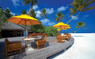 Wooden deck beach palm trees - a wooden deck free wallpaper