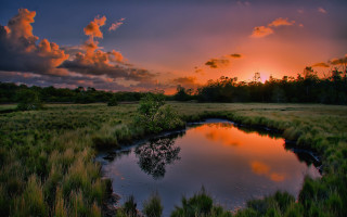 Sunset pond field trees clouds - tall grass and trees free wallpaper for desktop
