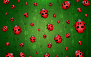 Ladybugs green spotted surface flower - scattered free wallpaper