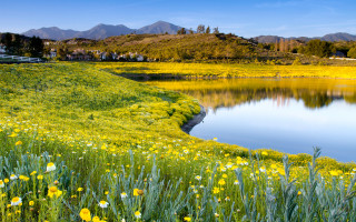 Flower field lake mountains house 2 - free spring wallpaper