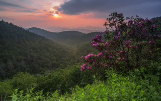 Sunset mountains flowers cloudy sky - a beautiful sunset over a mountain range free wallpaper